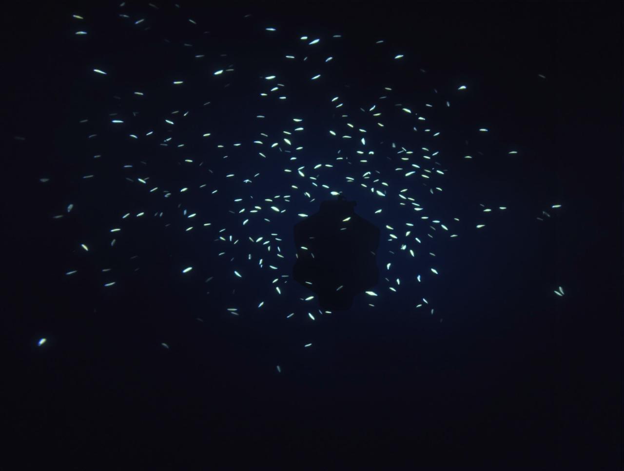 纪录片《深海探秘》拍摄幕后配图1